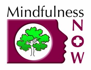 Mindfulness Now training provider logo
