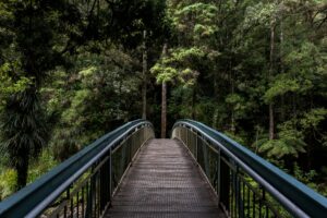 A wooden bridge leading into a quiet forest, symbolising mindfulness at work and reflection.