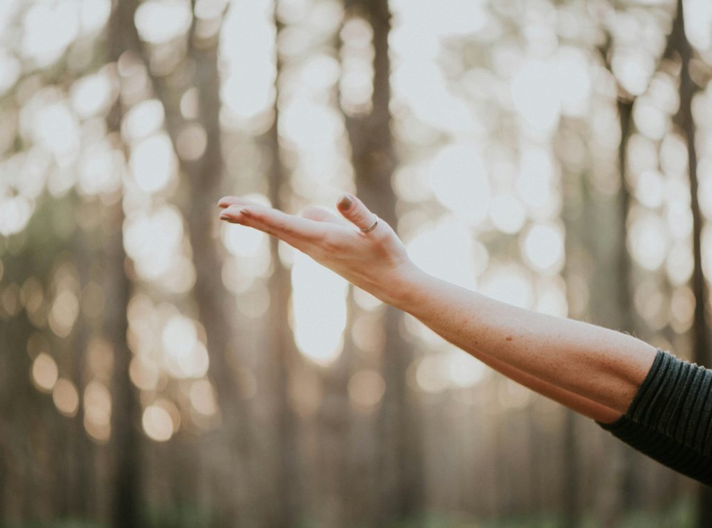 Hand raised outdoors, symbolizing freedom, presence, and mindfulness at retreats and festivals